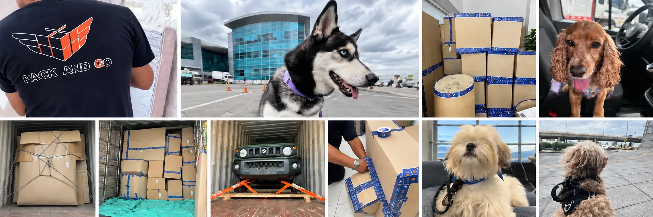 Collage de diez fotografías de operaciones de Pack And Go: equipo de espalda, empaque, carga en contenedor, vehículo asegurado y mascotas en el aeropuerto